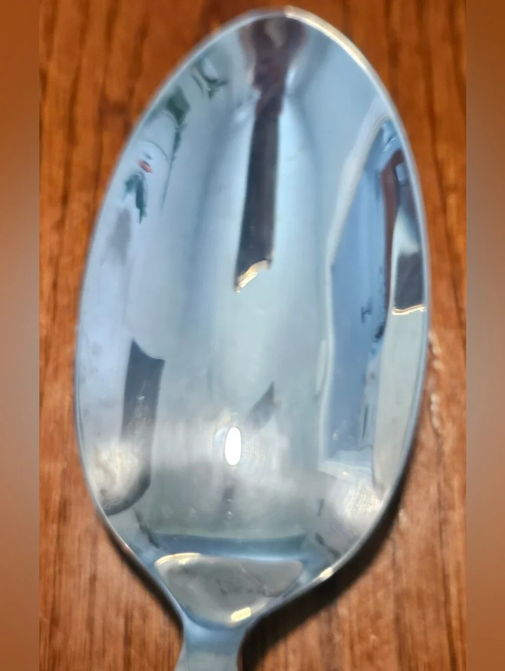 S&G Silver Plated Oversized Serving Spoon